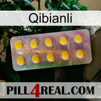 Qibianli new11